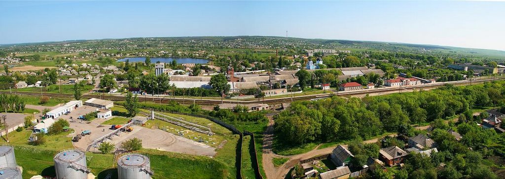 Віктор Мандрика